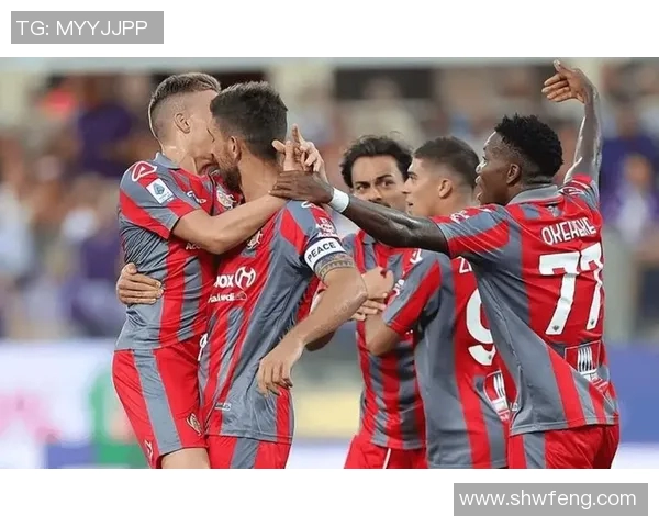 足球明星场上发声精彩瞬间回顾与分析视频合集