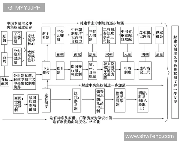 中国体育明星的成长历程与成就分析及其对社会的影响探讨