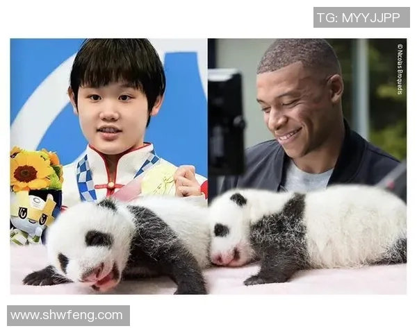足球明星与熊猫的奇妙冒险之旅