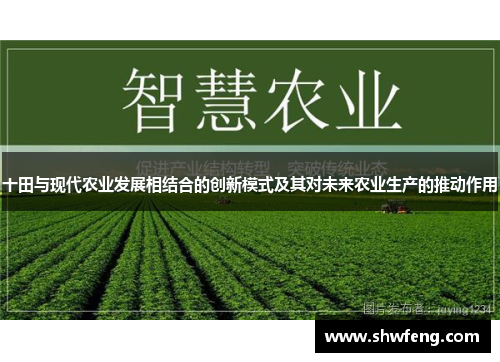 十田与现代农业发展相结合的创新模式及其对未来农业生产的推动作用